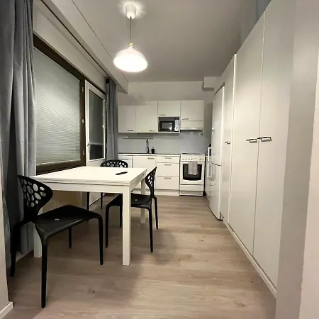 Apartment Modernly Renovated Northern Lapland Home, Free Wifi & Parking