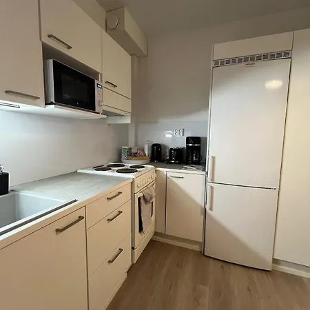 아파트 Modernly Renovated Northern Lapland Home, Free Wifi & Parking 로바니에미