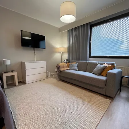 Modernly Renovated Northern Lapland Home, Free Wifi & Parking * 로바니에미