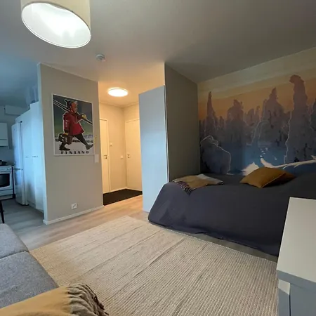 Apartment Modernly Renovated Northern Lapland Home, Free Wifi & Parking