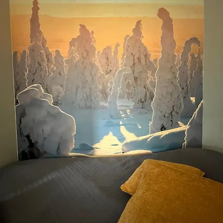 Modernly Renovated Northern Lapland Home, Free Wifi & Parking *