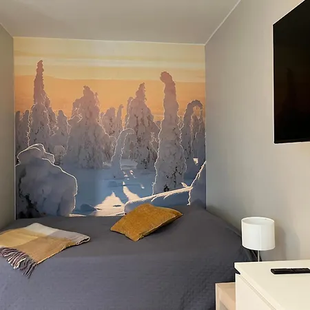 Modernly Renovated Northern Lapland Home, Free Wifi & Parking Rovaniemi