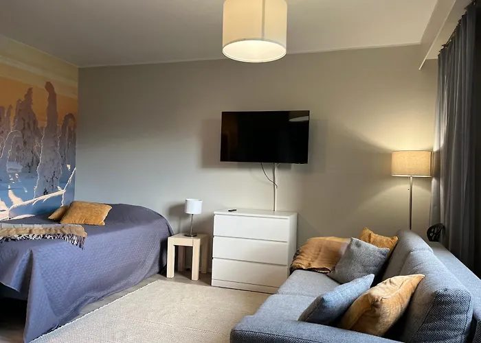 Modernly Renovated Northern Lapland Home, Free Wifi & Parking