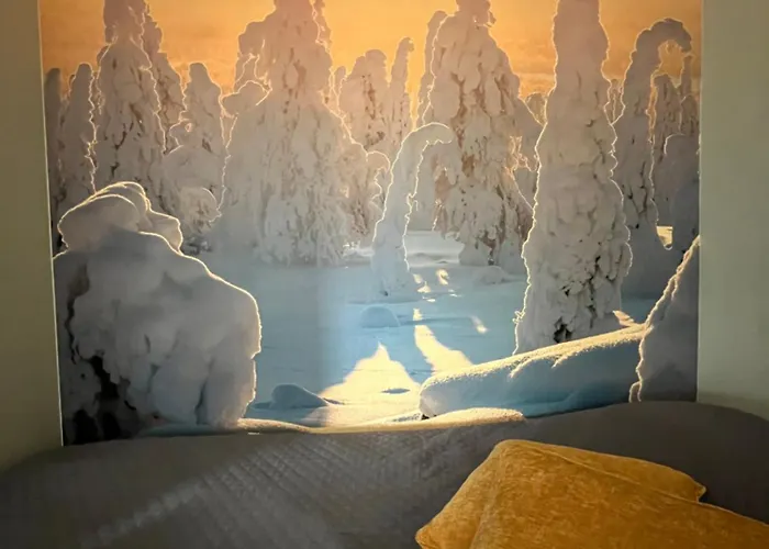 Modernly Renovated Northern Lapland Home, Free Wifi & Parking *